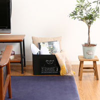 不二貿易 蓋付不織布インナーボックススタンダードBK(70455) 65285 1個