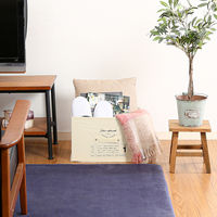 不二貿易 不織布インナーボックス スタンダード IV(70451) 65281 1個