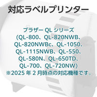 カラークリエーション 宛名ラベルプリンタ ブラザー DKー2205互換 長尺紙テープ大 TPC-BDK2205 1個（直送品）