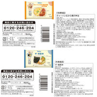 (株)日本アクセス(AB) Delcy お惣菜屋さんが作った 惣菜お弁当・丼ぶり 9種計9個セット 1セット(9種計9個)（直送品）