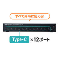 サンワサプライ  USB2.0 Type-C 12ポートハブ USB-2THCS12N（直送品）
