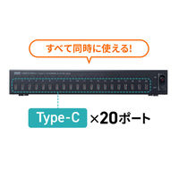 サンワサプライ  USB2.0 Type-C 20ポートハブ USB-2THCS20N（直送品）