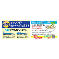 日清食品チルド [冷蔵] 日清のそのまんま麺 冷しすだちおろしうどん 2人前×6袋 4548780538116 1セット(430g×6袋)（直送品）