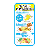 日清食品チルド [冷蔵] 日清のそのまんま麺 冷し中華 醤油だれ 2人前×6袋 4548780535856 1セット(390g×6袋)（直送品）