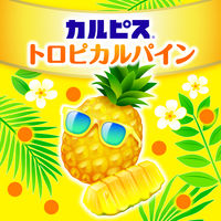 アサヒ飲料 カルピス トロピカルパイン ＜希釈用＞ 470ml 1箱（12本）