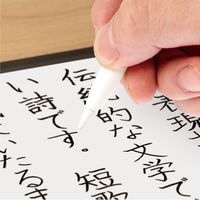 ナカバヤシ Apple Pencil　交換用ペン先　ソフトタッチ　3個入り TPENーPS04 1個