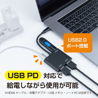 ナカバヤシ TypeーCーHDMI　ディスプレイ変換アダプタ　2台出力 USAーCHD6BK 1個