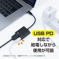 ナカバヤシ TypeーCーHDMI　ディスプレイ変換アダプタ　1台出力 USAーCHD5BK 1個