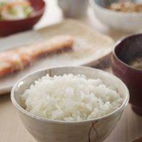 ばか美味 5ｋｇ 精白米 1袋 諸長 米