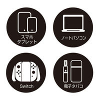 セイワ DCチャージャーPD65W 車用 充電 D-605 1個（直送品）