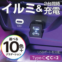 セイワ レインボーイルミ2USBコネクタ CtoC×2 イルミ F-349 1個（直送品）