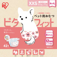 ペット用おむつ ピタフィット 女の子用 XXS 超小型犬サイズ 42枚入 1袋 アイリスオーヤマ