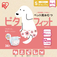 ペット用おむつ ピタフィット 女の子用 S 小型犬サイズ 36枚入 1袋 アイリスオーヤマ