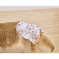 ペット用おむつ ピタフィット 女の子用 XS 超小～小型犬サイズ 38枚入 1袋 アイリスオーヤマ