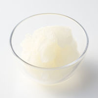 無印良品 凍らせて飲むゼリー ソルティアセロラ １５０ｇ 1セット（1個×2） 良品計画