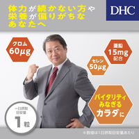（数量限定）DHC　亜鉛（60日分）＋マルチビタミン＆ミネラルサンプル付　1セット