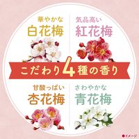 【数量限定】入浴剤 炭酸 アソート 温泡 こだわり梅 詰め合わせ 個包装 透明タイプ 1箱（20錠入り） アース製薬
