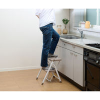 パール金属 コンパクト踏み台2段 N-7215 1台