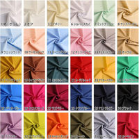 日本紐釦貿易 ブロード生地 無地 巾約112cm 2mカット アイボリー B64500-3-2M 1セット(巾112cm×2m（直送品）