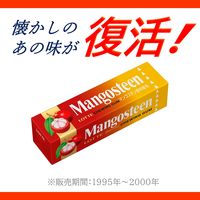 ロッテ マンゴスチンガム 9枚入 1セット（1個×15） 板ガム 個包装