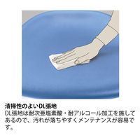 【組立設置込】イトーキ リエットR チェア ローバック 可動肘 ハンガー付 ブラック×オフホワイト KT-367DLHM-T1C8 1脚（直送品）