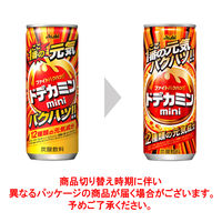 アサヒ飲料 ドデカミンmini 250ml 1セット（120缶）