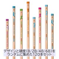 【アウトレット】【Goエシカル】訳あり トンボ鉛筆 かきかた鉛筆ハローネイチャー わくわくアソート120本パック 1セット（1本×120）