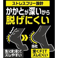 ディックコーポレーション 吸汗速乾+底パイルメッシュ 先丸スニーカ- 3P CA-260 1セット(3P)（直送品）