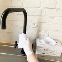 洗って繰り返し使える マイクロファイバークロス ミニサイズ 約18×18cm 取り出し簡単 ホワイト 1箱（20枚入）錦尚金