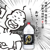 芋焼酎 おやっとさあ 黒麹 25度 5L 1セット(1本×4) 岩川醸造