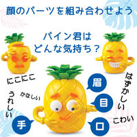 Learning　Resources　Big　Feelings　Pineapple　にこにこパイナップル　LER6　1個