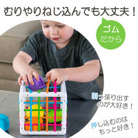 Fat　Brain　Toys　InnyBin　イニービン　FA251ー1　1個
