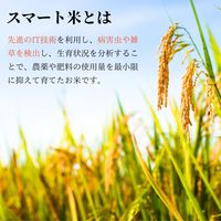 福島県産 天のつぶ 1.8kg 1袋 精白米 令和6年産 スマート米 オプティム