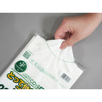 ゴミ袋 取っ手付き nocoo in 半透明 30L 厚さ:0.022mm 1パック（20枚入）CY30 日本サニパック