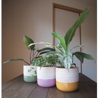 【園芸用品】welzo カラーポット　モスグリーン 4933136530126 1個