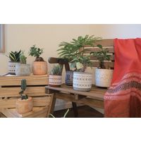 【園芸用品】welzo トライバルポット　口径110ｍｍ　オレンジ 4933136552715 1個