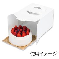 柳井紙工 食品箱 キャリーデコケース キャリーデコ 保冷ホワイト150 4.5 4525241125795 1セット(100枚入)（直送品）