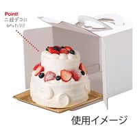 柳井紙工 食品箱 キャリーデコケース キャリーデコ 保冷ホワイト180 5 4525241125924 1セット(100枚入)（直送品）