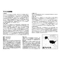 全教図 世界の国旗カード 100か国版 1230041 1ヶ（直送品）