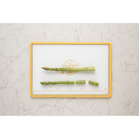 新輝合成 まな板 L イラストパレット 食洗機対応 435193 1個（直送品）