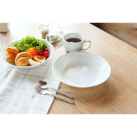 パール金属 プレート 21.5cm CORELLE コレール シロクマ 強化ガラス 466241 1個（直送品）