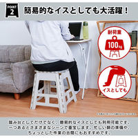 菊屋(KK) 折りたたみ踏み台22 アイボリー 4582451307533 1個