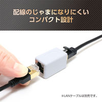 ナカバヤシ LANケーブル延長アダプタ　カテゴリー6A対応 CARー877 1個