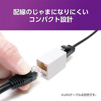 ナカバヤシ LANケーブル延長アダプタ　マグネット付　カテゴリー6A対応 CARー866AM 1個
