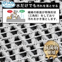 びっくりフレッシュ びっくり抗菌糸で作った メッシュクロス 食器洗い 水だけでも汚れが落ちる グレー 日本製 1枚 サンコー
