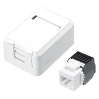 サンワサプライ  カテゴリ6Aローゼットキット（マグネット付き） LA-RZ6A-1N（直送品）