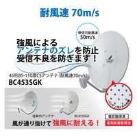 45形BS110度CSアンテナ(耐風速70m s)セット品 DXアンテナ BC453SGK 1個（直送品）