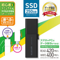 SSD 外付け 250GB スライド式 USB-C/A両対応 ブラック ESD-EWB0250GBKR エレコム 1個