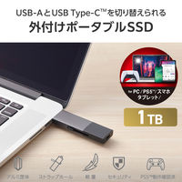 SSD 外付け 1TB スライド式 USB-C/A両対応 高速 耐衝撃 ブラック ESD-EWC1000GBK エレコム 1個（直送品）