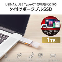 SSD 外付け 1TB スライド式 USB-C/A両対応 高速 耐衝撃 シルバー ESD-EWC1000GSV エレコム 1個